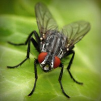 /album/a-arte-do-ator/photolia-a01-jpg/