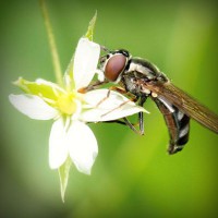 /album/a-arte-do-ator/photolia-a02-jpg/