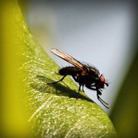 /album/a-arte-do-ator/photolia-a04-jpg/