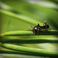 /album/a-arte-do-ator/photolia-a05-jpg/