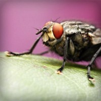 /album/a-arte-do-ator/photolia-a08-jpg/